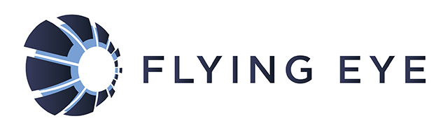 logo Flying Eye